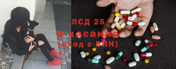 сатива Куйбышев